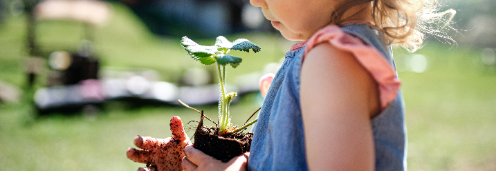 Kleines Mädchen hilft beim Pflanzen 